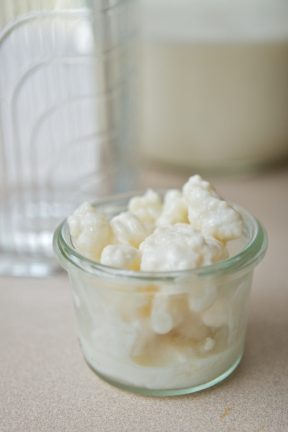 helikobakter_kefir