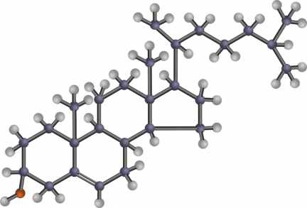 Koleszterin